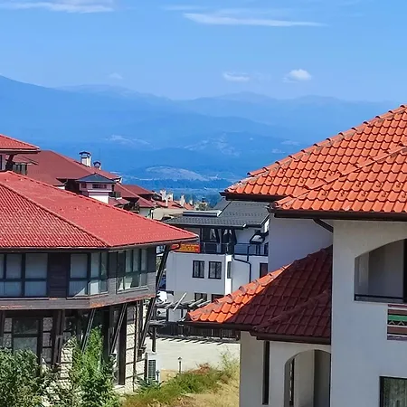 Dream 1broom Private