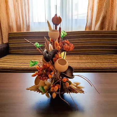 Dream 1broom Private * Бансько