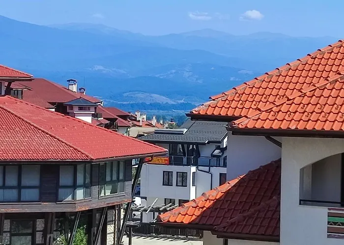 Dream 1broom Private