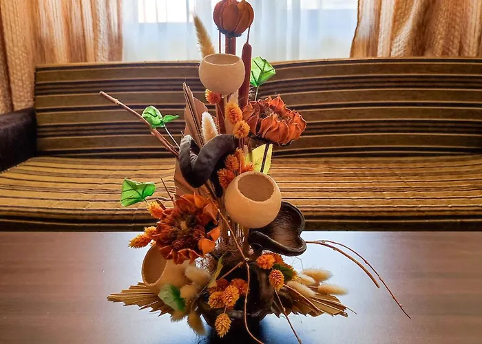 Dream 1broom Private * Bansko